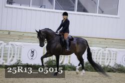25R13_05015 thumbnail
