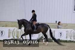 25R13_05016 thumbnail