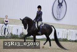 25R13_05019 thumbnail
