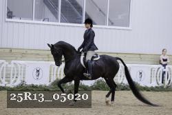 25R13_05020 thumbnail
