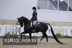 25R13_05021 thumbnail