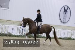 25R13_05022 thumbnail