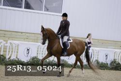 25R13_05024 thumbnail