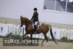 25R13_05025 thumbnail