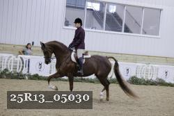 25R13_05030 thumbnail