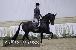 25R13_05033 thumbnail