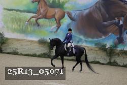 25R13_05071 thumbnail