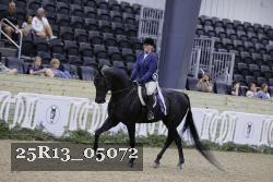 25R13_05072 thumbnail