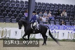 25R13_05075 thumbnail