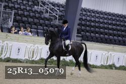 25R13_05079 thumbnail