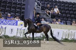 25R13_05088 thumbnail
