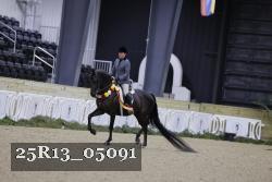 25R13_05091 thumbnail