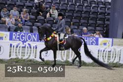 25R13_05096 thumbnail