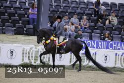 25R13_05097 thumbnail