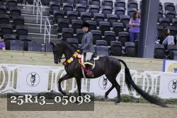 25R13_05098 thumbnail