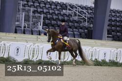 25R13_05102 thumbnail