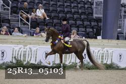 25R13_05103 thumbnail