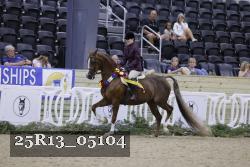 25R13_05104 thumbnail