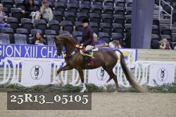 25R13_05105 thumbnail