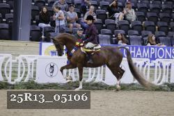 25R13_05106 thumbnail