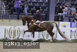 25R13_05107 thumbnail