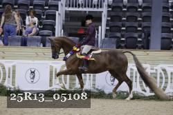 25R13_05108 thumbnail