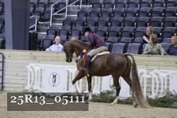 25R13_05111 thumbnail
