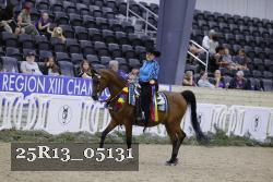 25R13_05131 thumbnail