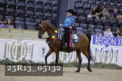 25R13_05132 thumbnail