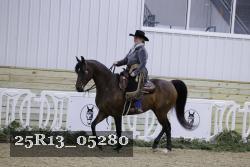 25R13_05280 thumbnail