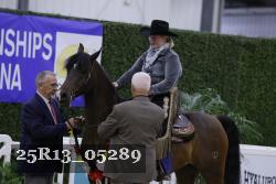 25R13_05289 thumbnail