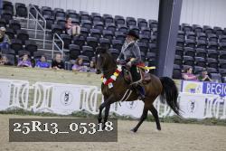 25R13_05318 thumbnail