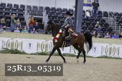 25R13_05319 thumbnail