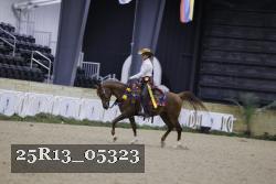 25R13_05323 thumbnail