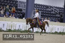 25R13_05325 thumbnail