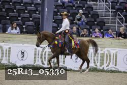 25R13_05330 thumbnail