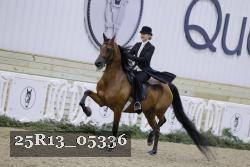25R13_05336 thumbnail