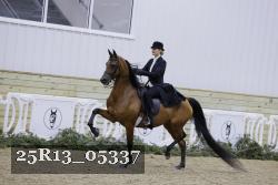 25R13_05337 thumbnail