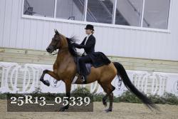 25R13_05339 thumbnail
