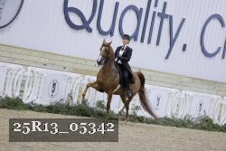 25R13_05342 thumbnail