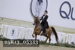 25R13_05343 thumbnail