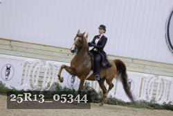 25R13_05344 thumbnail