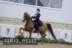 25R13_05345 thumbnail