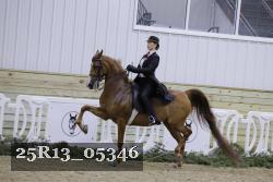 25R13_05346 thumbnail