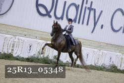 25R13_05348 thumbnail