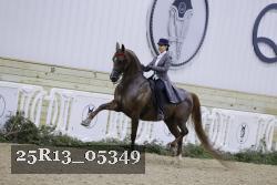 25R13_05349 thumbnail