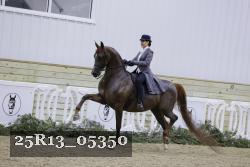 25R13_05350 thumbnail