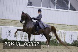 25R13_05352 thumbnail