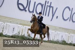 25R13_05353 thumbnail