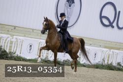 25R13_05354 thumbnail